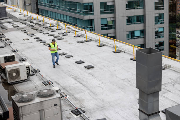 Best Roof Moss and Algae Removal  in Homewood, IL