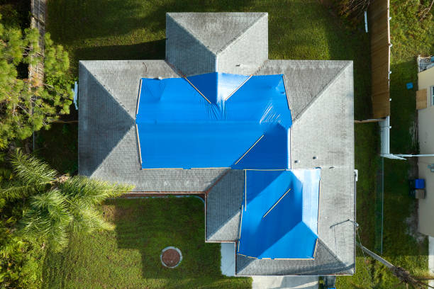 Best Roof Coating and Sealing  in Homewood, IL